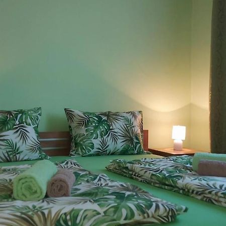 Apartman ,,Milica" Apartment Donji Milanovac Exterior photo