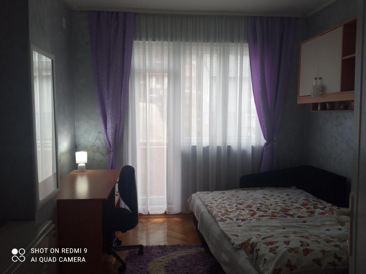 Apartman ,,Milica" Donji Milanovac Exterior photo