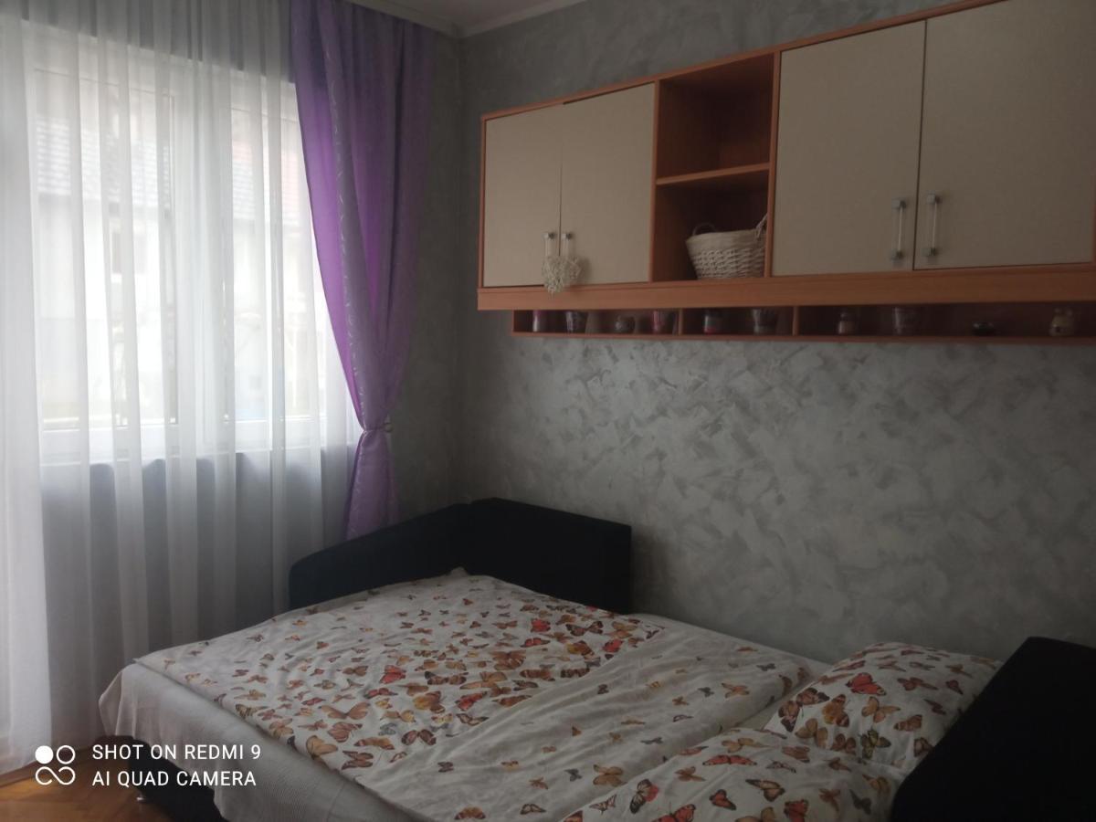 Apartman ,,Milica" Donji Milanovac Exterior photo