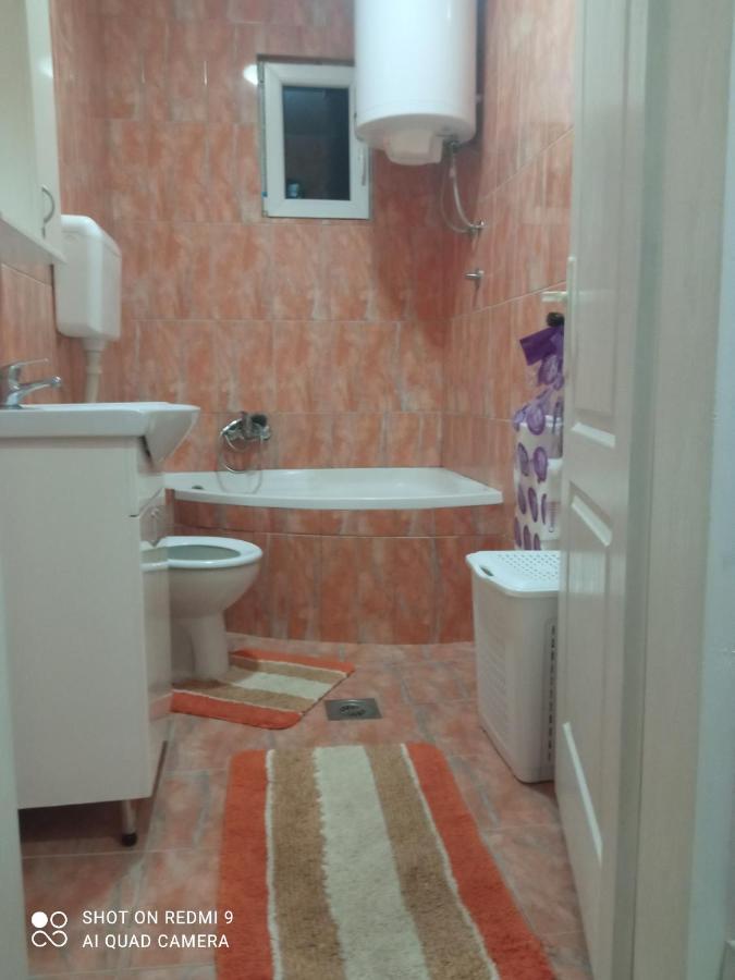 Apartman ,,Milica" Donji Milanovac Exterior photo
